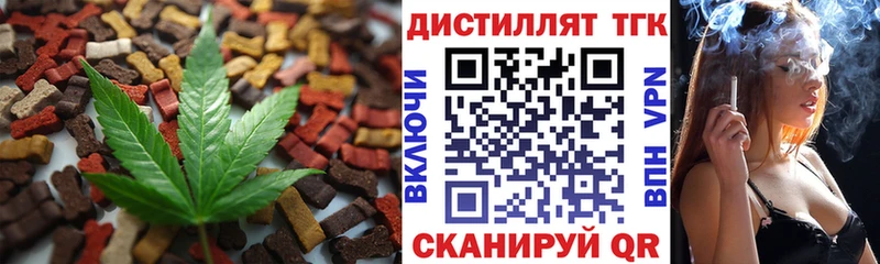 где можно купить наркотик  Волхов  Еда ТГК конопля 
