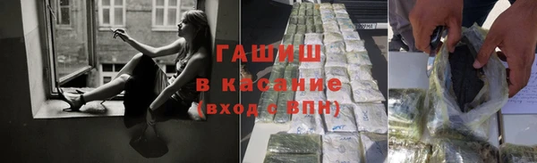 сатива Алзамай