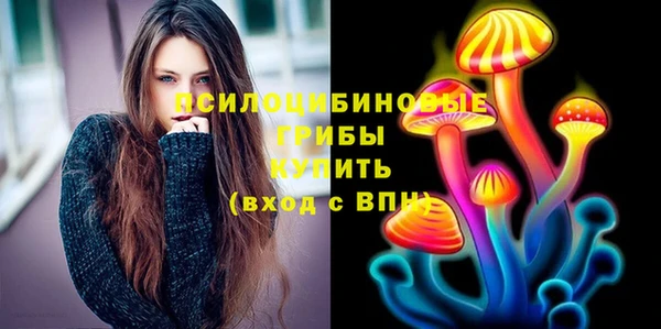 сатива Алзамай