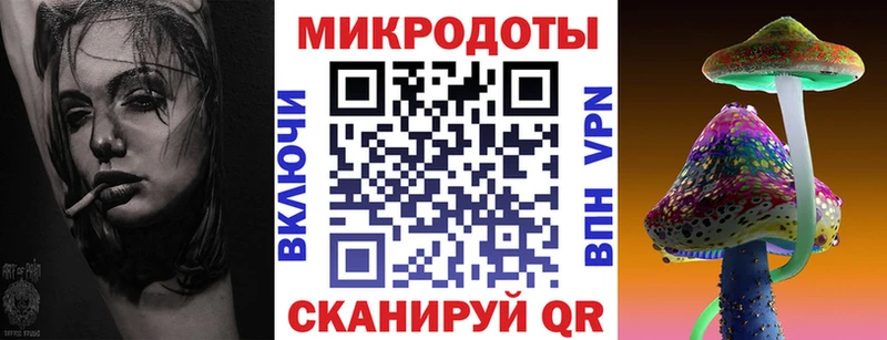 даркнет сайт  Волхов  Галлюциногенные грибы Cubensis 
