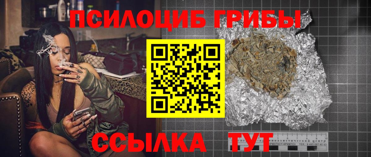 продажа наркотиков  Вход с VPN  Волхов  Псилоцибиновые грибы MAGIC MUSHROOMS 