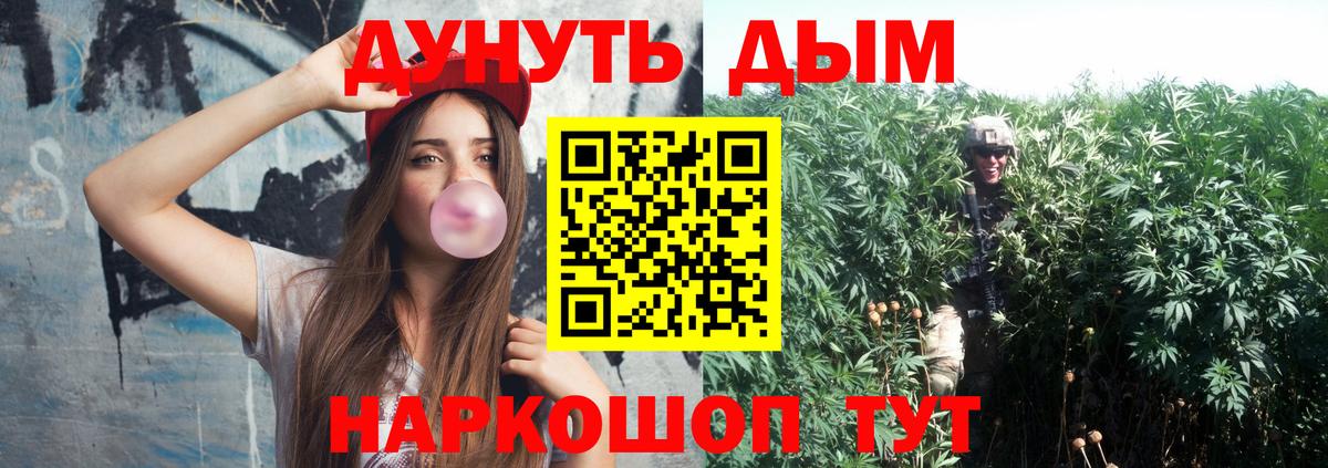 Шишки марихуана Ganja Волхов