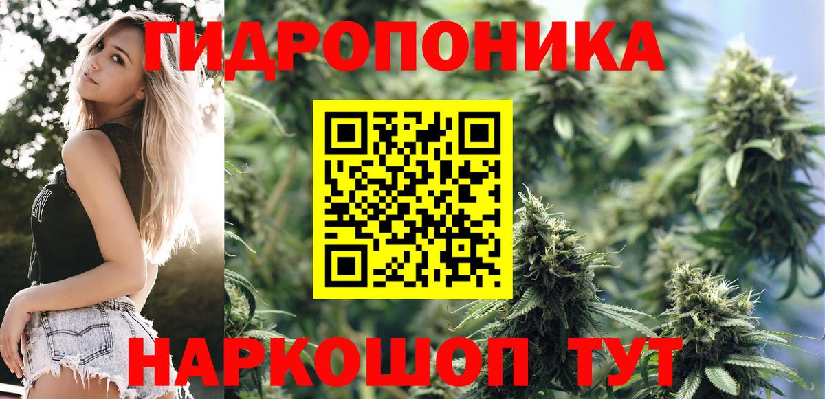 Каннабис Amnesia  Бошки Шишки планчик  Вход с VPN  Шишки марихуана гибрид  Волхов 